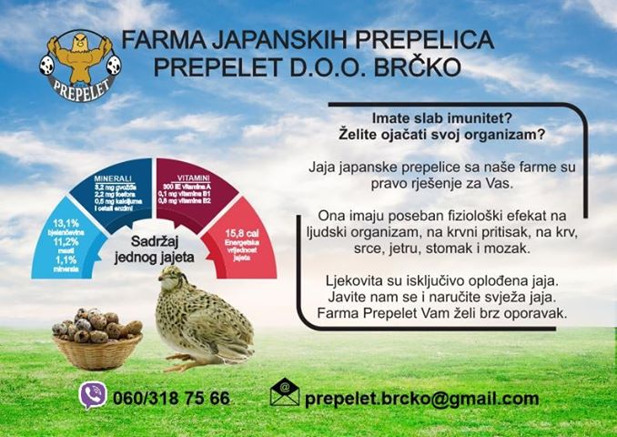 Prepelet doo